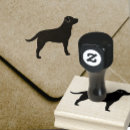 Recherche de labrador retriever Animal