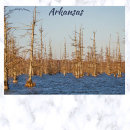 Recherche de cypress tree cartes postales Usa