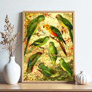 Recherche de amazonien posters Oiseau