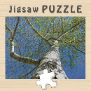 Recherche de bouleau puzzles Vert