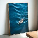 Suche nach schwimmend poster Wildtiere