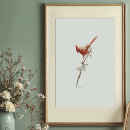 Recherche de oiseau cardinal rouge posters Peinture d'oiseau