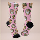 Recherche de animaux chaussettes Collage de photos