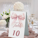 Suche nach mädchen babyparty tischkarten Rosa