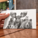 Recherche de loupe cartes postales Alaska