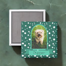 Recherche de polka dot magnets Vert