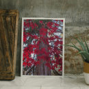 Recherche de érable rouge posters Feuille d'érable