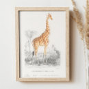 Recherche de zoos posters Pour elle