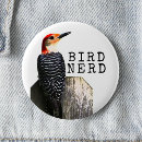 Recherche de pic badges Pic à ventre rouge