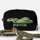Recherche de serpent vert Reptile