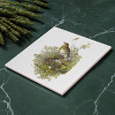 Suche nach eier fliesen Vögel