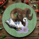 Recherche de moutons planches à découper Vert