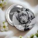 Recherche de votre chien badges Pour lui