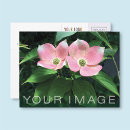 Suche nach ihr firmenlogo postkarten Marketing