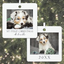 Suche nach tierfoto Dogs