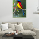 Suche nach hübscher vogel poster Natur