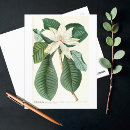 Suche nach magnolie postkarten Natur