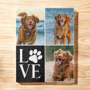 Recherche de chiens puzzles Pour tous
