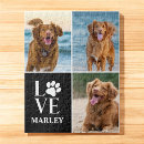Recherche de chien puzzles Pour amateur de chiens