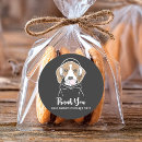 Suche nach bubblegum aufkleber Vielen dank