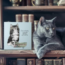 Suche nach münzen fliesen Kätzchen