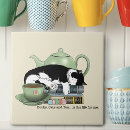 Recherche de smoking carreaux Chat noir et blanc