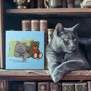 Suche nach spielzeug fliesen Katze