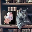 Suche nach rose pink fliesen Weiß