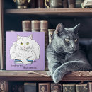 Suche nach humor fliesen Katze