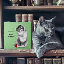 Suche nach lustige katze fliesen Katzenliebhaber