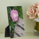 Recherche de pivoine plaques Pour tous