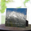 Suche nach wälder fotoplatten Winter