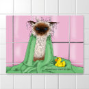 Suche nach tim poster Katze