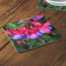 Recherche de rose fuchsia de dessous de verres Floral