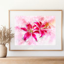 Suche nach stargazer lilie poster Sterngazerlilie