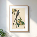 Suche nach vintage blumenillustration poster Botanisch