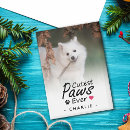 Recherche de pet photo magnets Moderne
