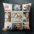 Suche nach doge doge doge kissen Haustier