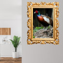 Recherche de faisans posters Nature