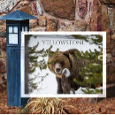 Suche nach grizzlybären postkarten Schnee