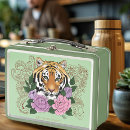 Suche nach tiger in der brotdosen Dschungel