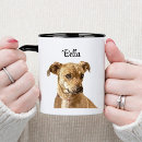 Recherche de image mignonne de chien tasses Chat