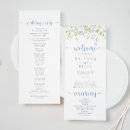 Recherche de plat pourpre de fleur Bride