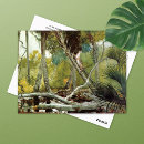 Recherche de jungles cartes postales Nature