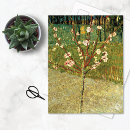 Suche nach mandelblüten postkarten Blütenbaum