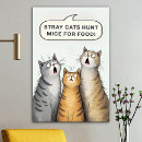 Suche nach jagen poster Katzen