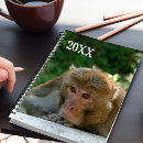 Recherche de singe bureau fournitures Ape