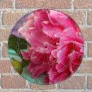 Suche nach frauen dartscheiben Modern