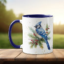 Recherche de blue jays tasses Faune