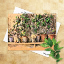 Recherche de argile cartes postales Pots d'argile